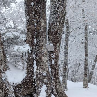 天女の頂へ到着しました