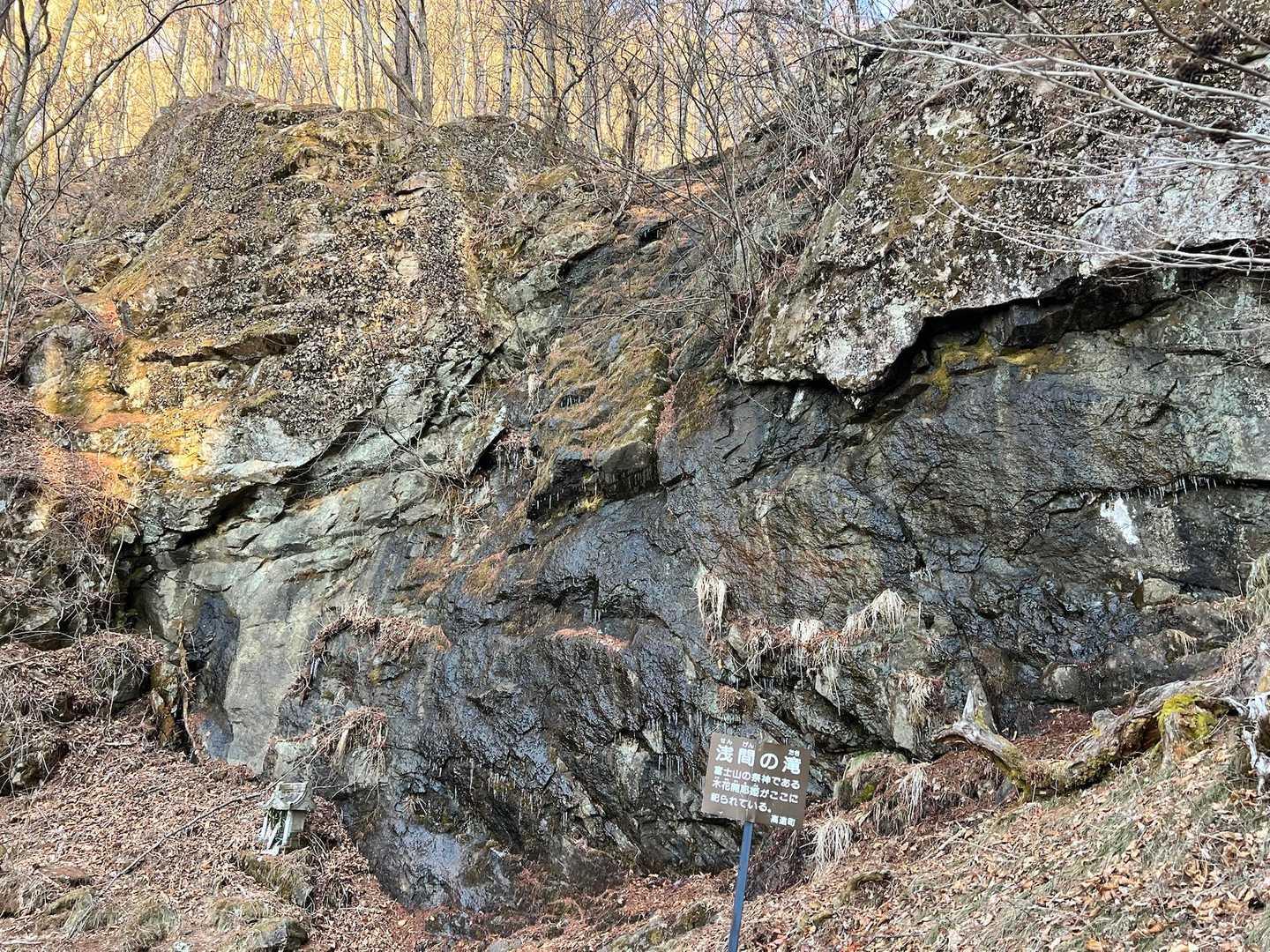 立石登山口-守屋山東峰 往復コースの写真