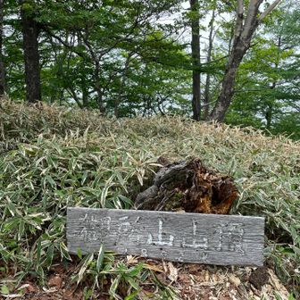 未踏だった御所山山頂
ここも眺望はありません😅