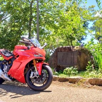 ひだるまイノピピ