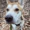 まきた