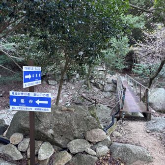 橋を渡って