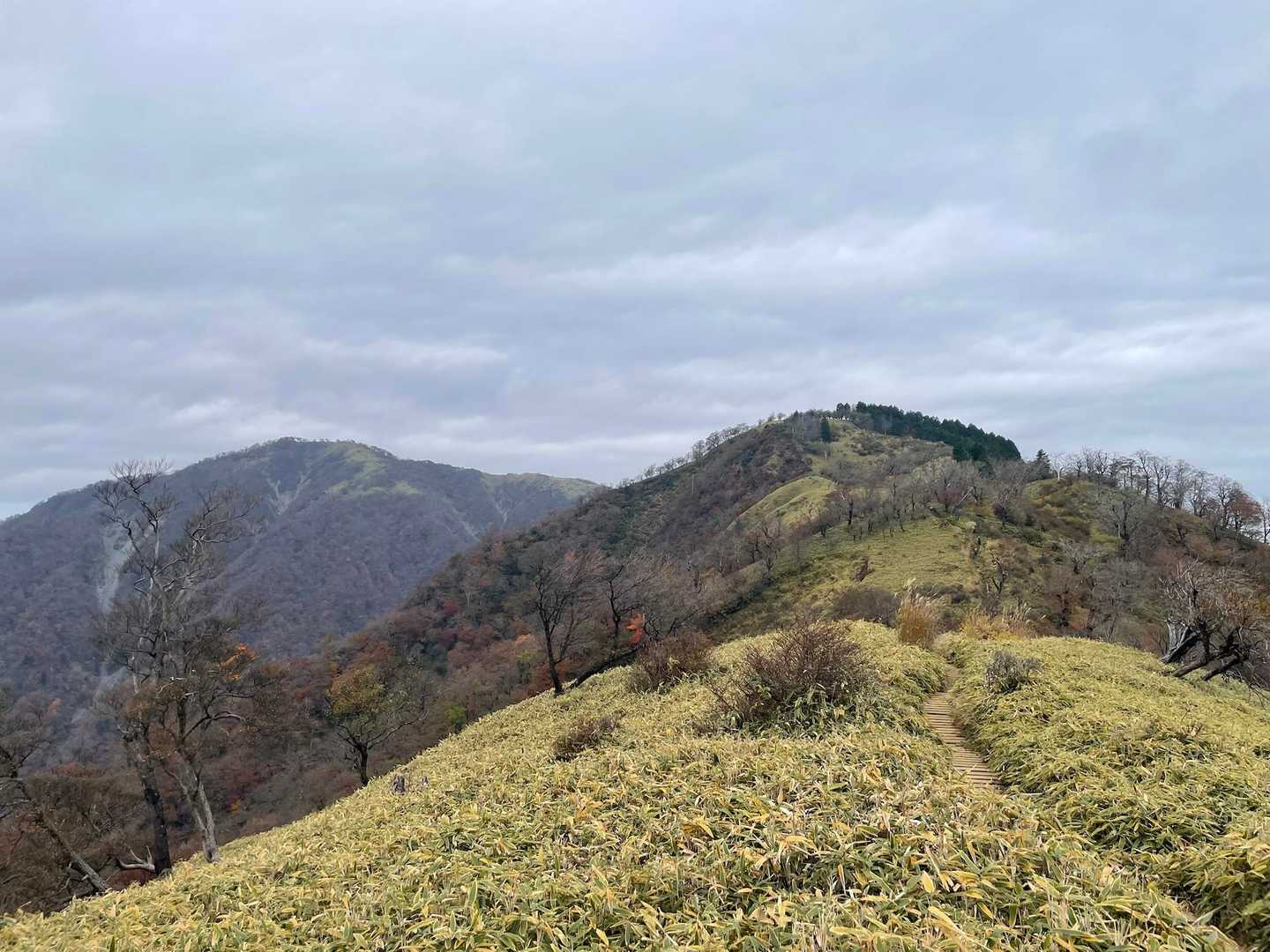 大倉バス停-観音茶屋-堀山-花立ノ頭-塔ノ岳-日高-竜ヶ馬 往復コースの写真