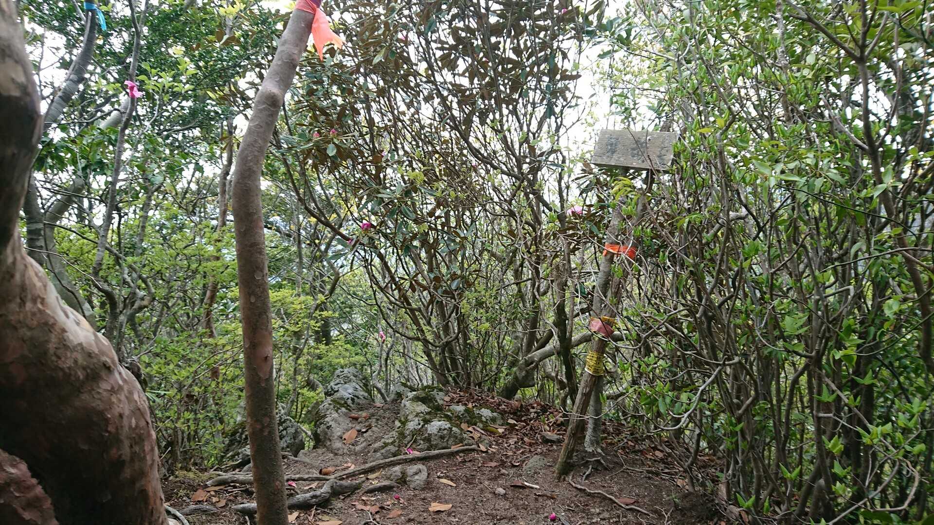舞岳の写真