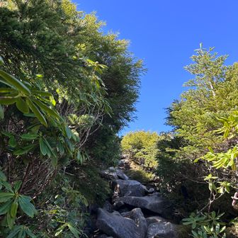もうすぐ中山