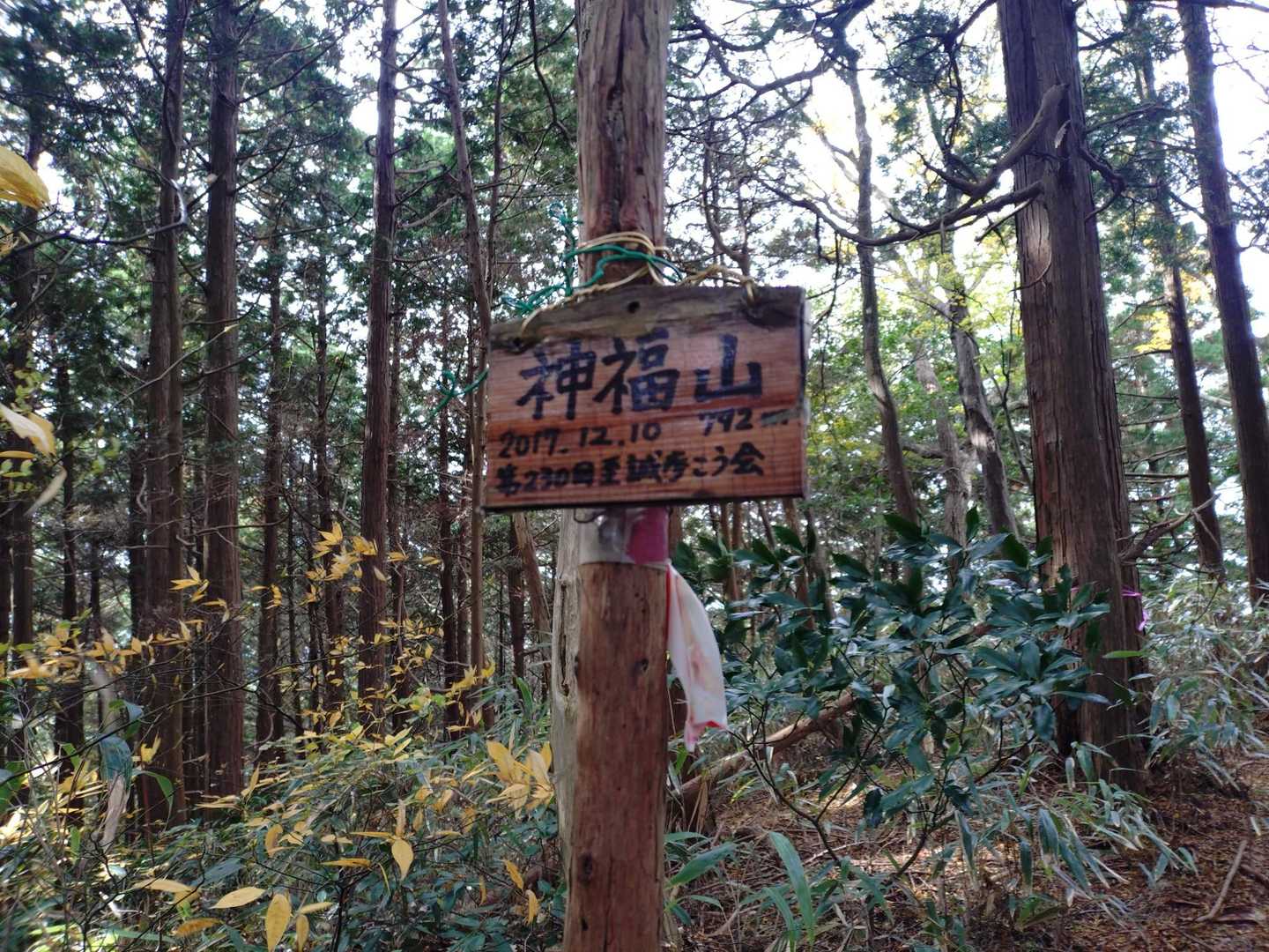 穏やかな道から 山頂近く
短い急登で  神福山 着