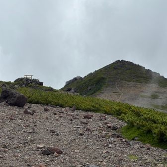 継子Ⅱ峰