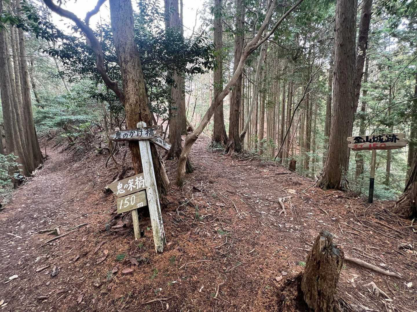 下山時にこの分岐までまた降りてきます。
←先ずは左へ