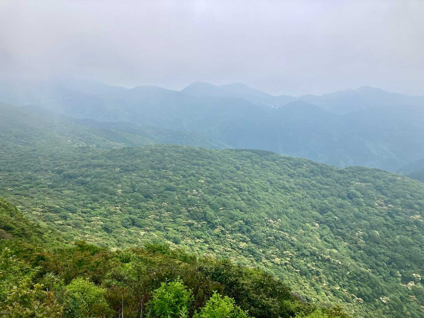 九千部岳 往復コースの写真