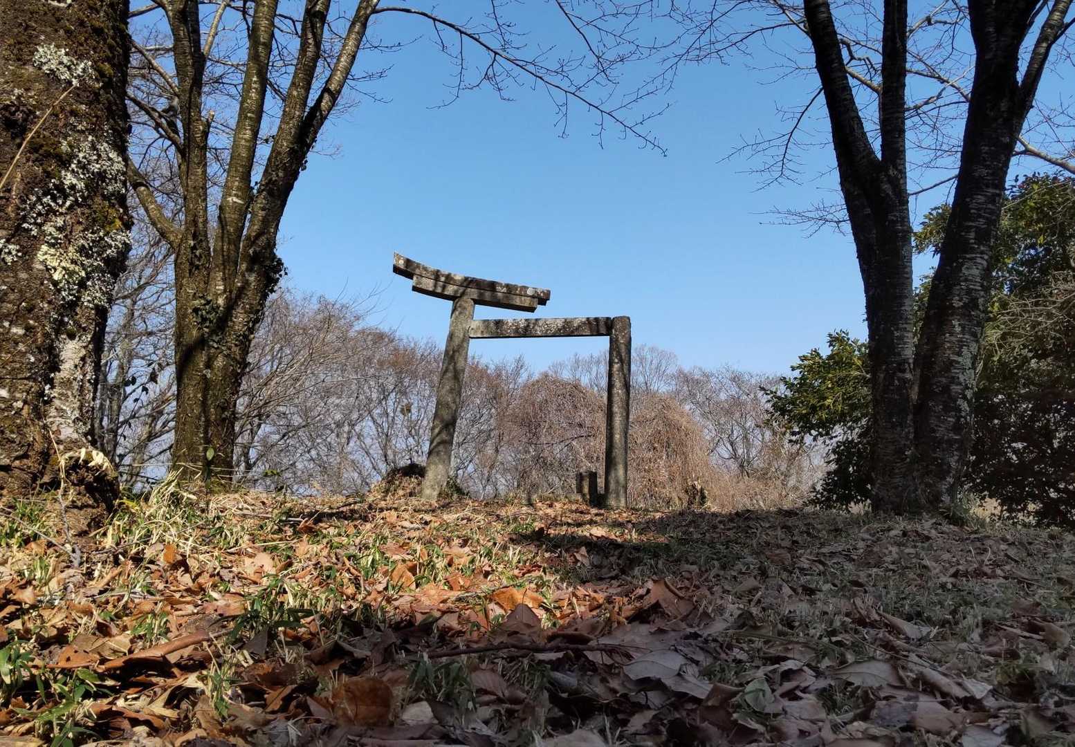 青空と
落ちそうな⛩️
《万》ですね😄

