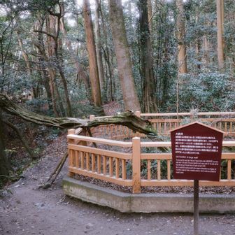 戦で危険な時はこの井戸から逃げようとしてたんだって。
え、怖い