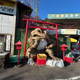　　　　　　　　　　　🐸