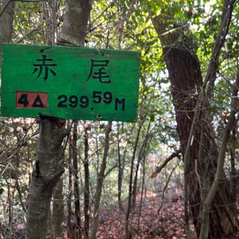 見つけました💡 赤尾の標識。薮すぎてめっちゃわかりにくかった