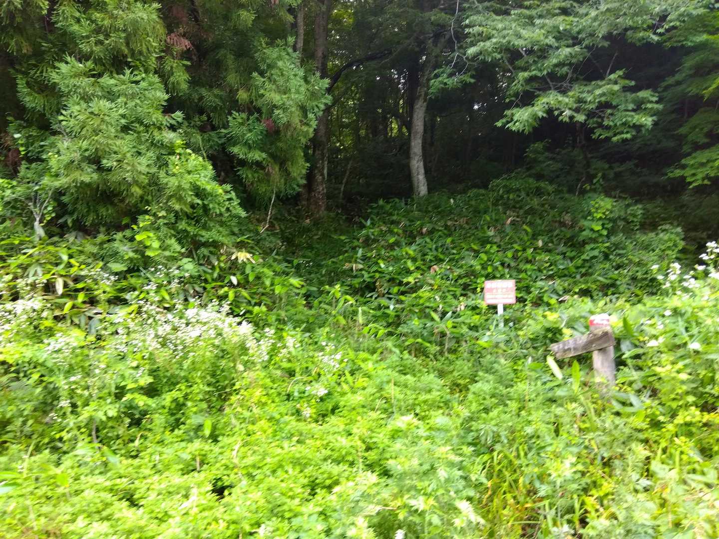 ピストンで下山し、登山口を振り返る