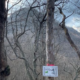 三角点の横にありました😂
奥は、相馬山。