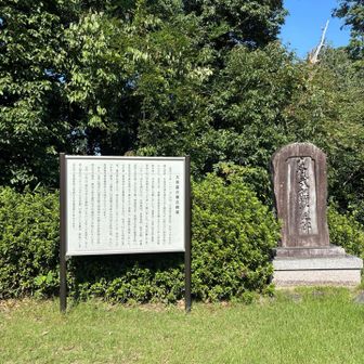 三角点わからず