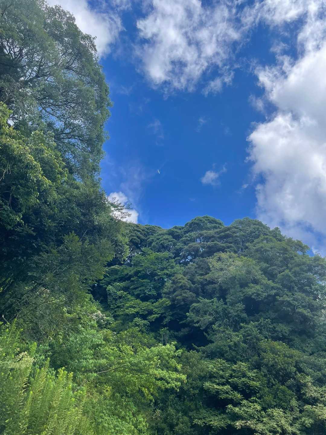 実は飛行機✈️が写ってるんです🤣