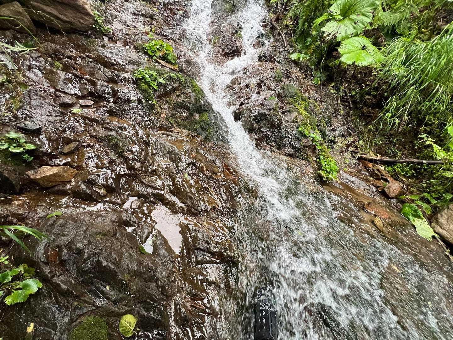滑る〜　余裕無し🍐
下山が心配😰