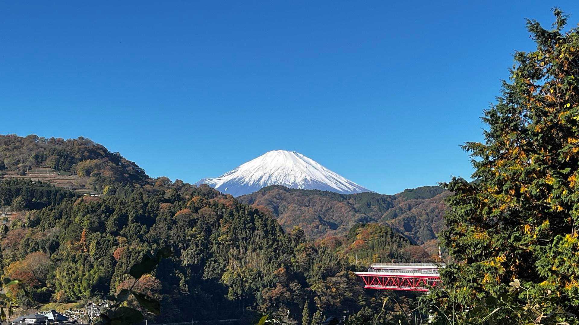 谷峨駅-大野山-山北駅 縦走コースの写真