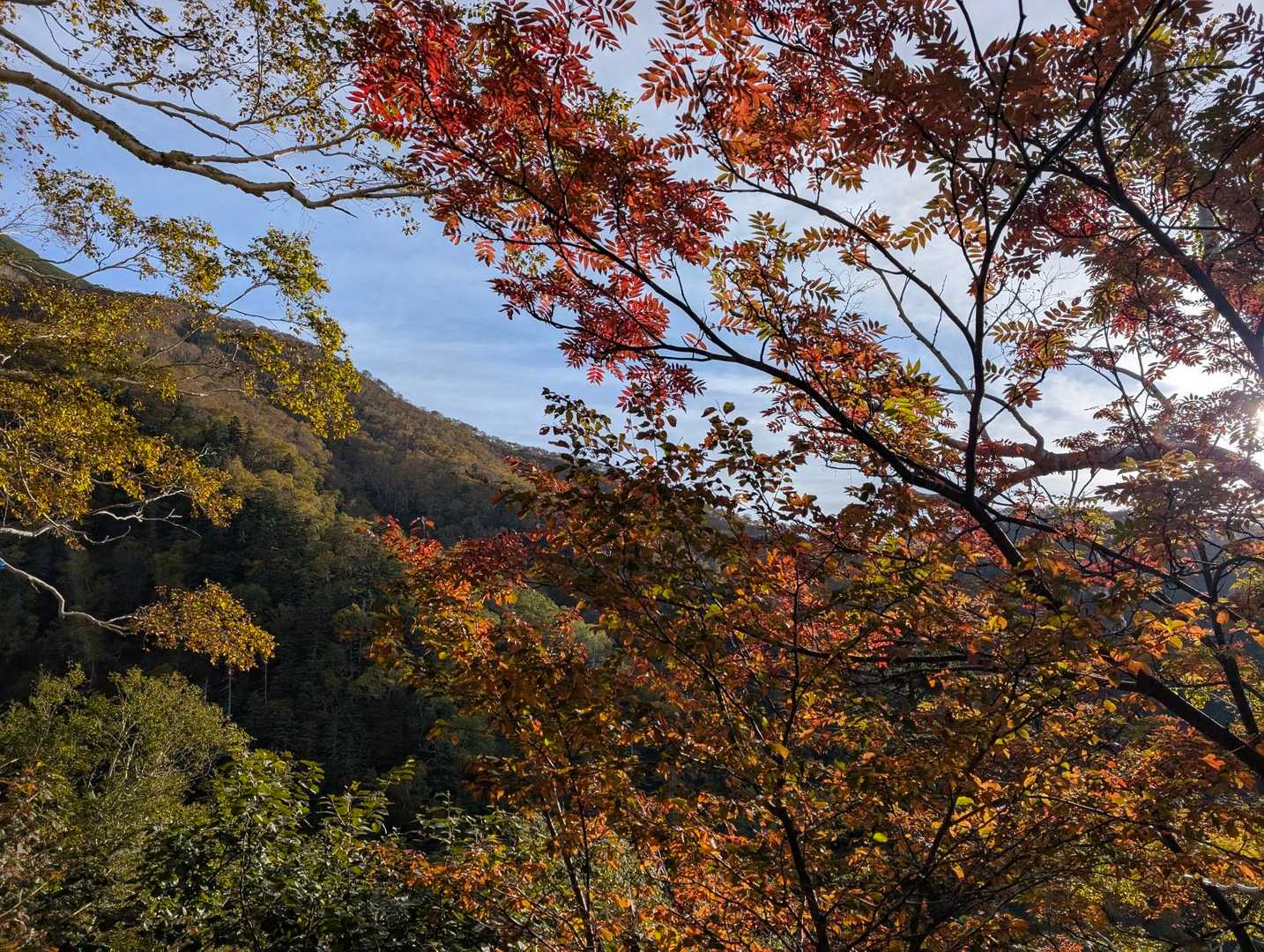 幌尻岳 往復コースの写真