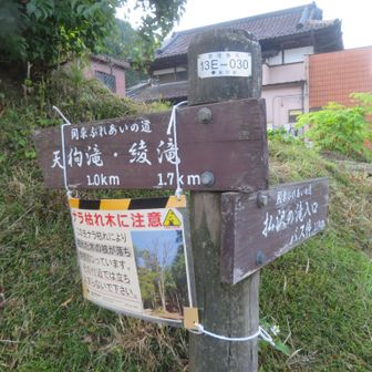 千足バス停で下車し、
お初の道へ。