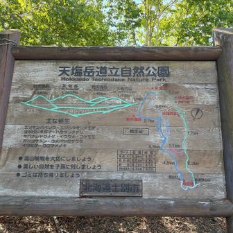 今回は時計回りで🔁