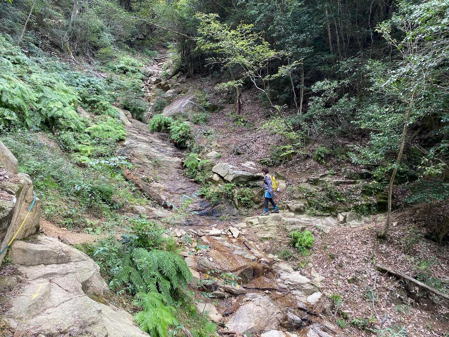 写真関係ないけど、YAMAP地図見ながら下山してたつもりが登りと同じ道に出て来ちゃった。
あれ〜？
どこで間違ったのか答え出さんと怖い。
マジで注意⚠️せんとやばい。