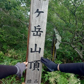 泉ヶ岳山頂到着〜〜
滝汗流れまくり…🥵
手ぬぐいはびっしょり💦
山頂はソロの山GIRLと我らのみ…
「三叉路方面に行きますよ。」
とお伝えすると…
「ご一緒してもいいですか？」
と…
もちろん〜~ウェルカム〜〜♡

