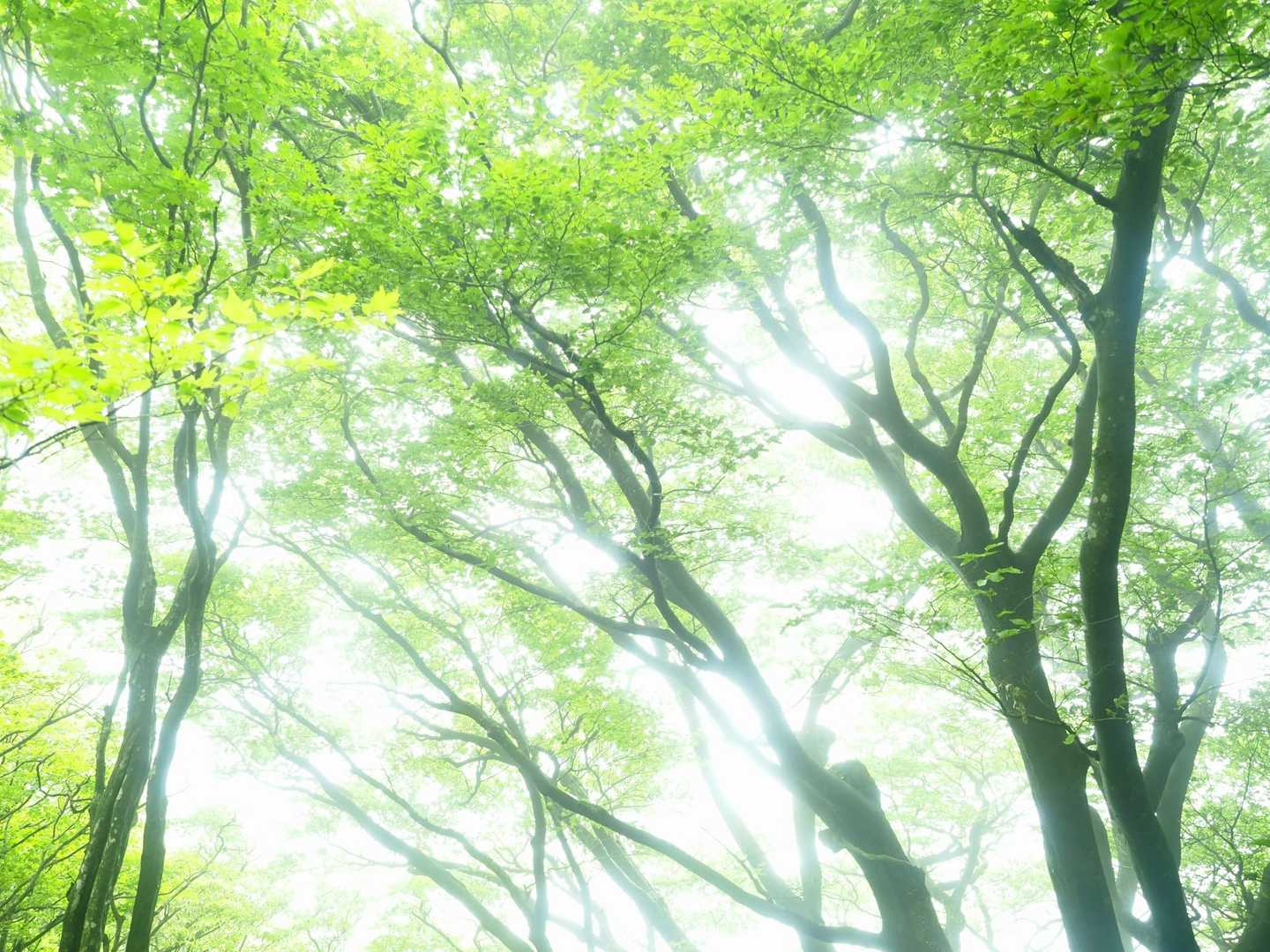 明るい時間は少なかった