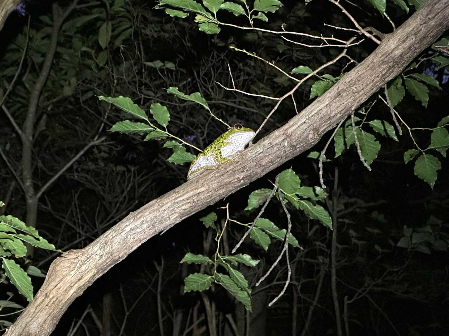 無事に登ってポジション安定
