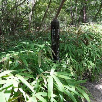 花山駅まで1.1k