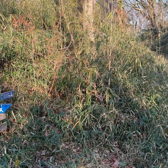 閑居山。山名読めません。