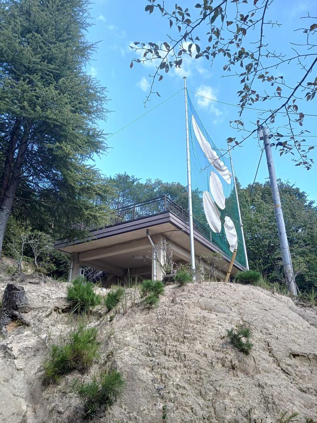 郡山公園は目の前☺