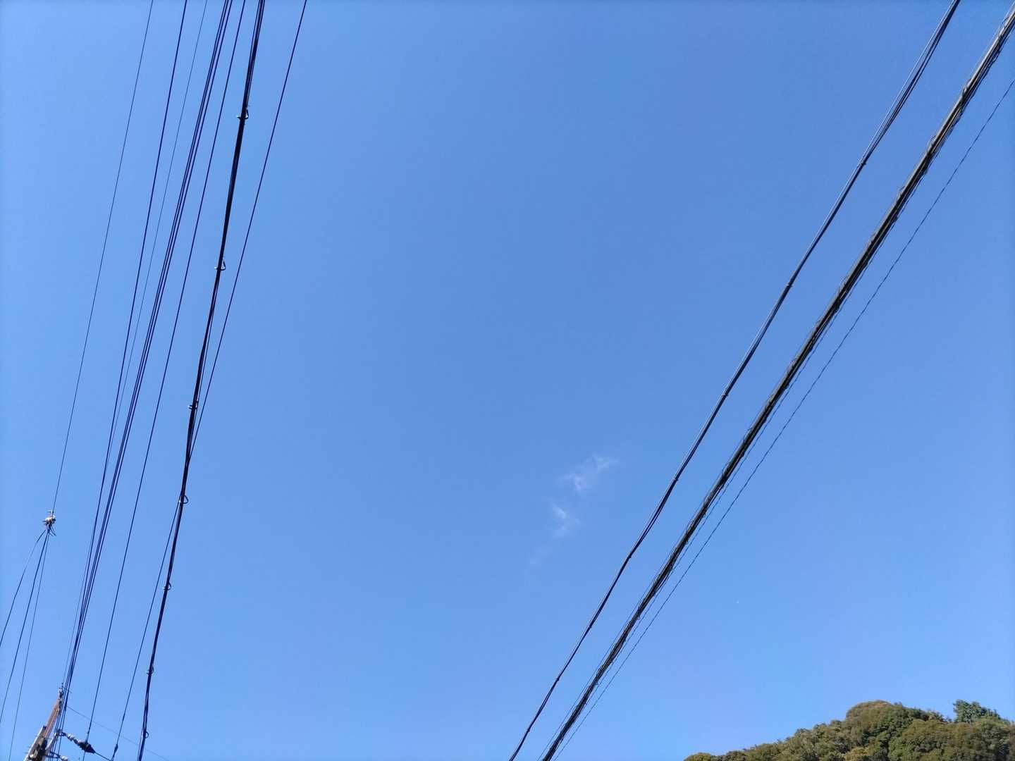 超！青！