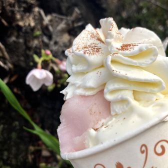 おいしんだよ ~😋
久しぶりのアリエッタさん🌸