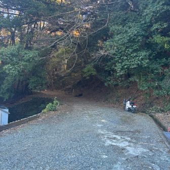 広い登山道
昔とは道が変わったと父談
確かに子どもの頃の記憶とは
違います