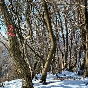 私作の案内板
狗留孫へ向かいます⬅️