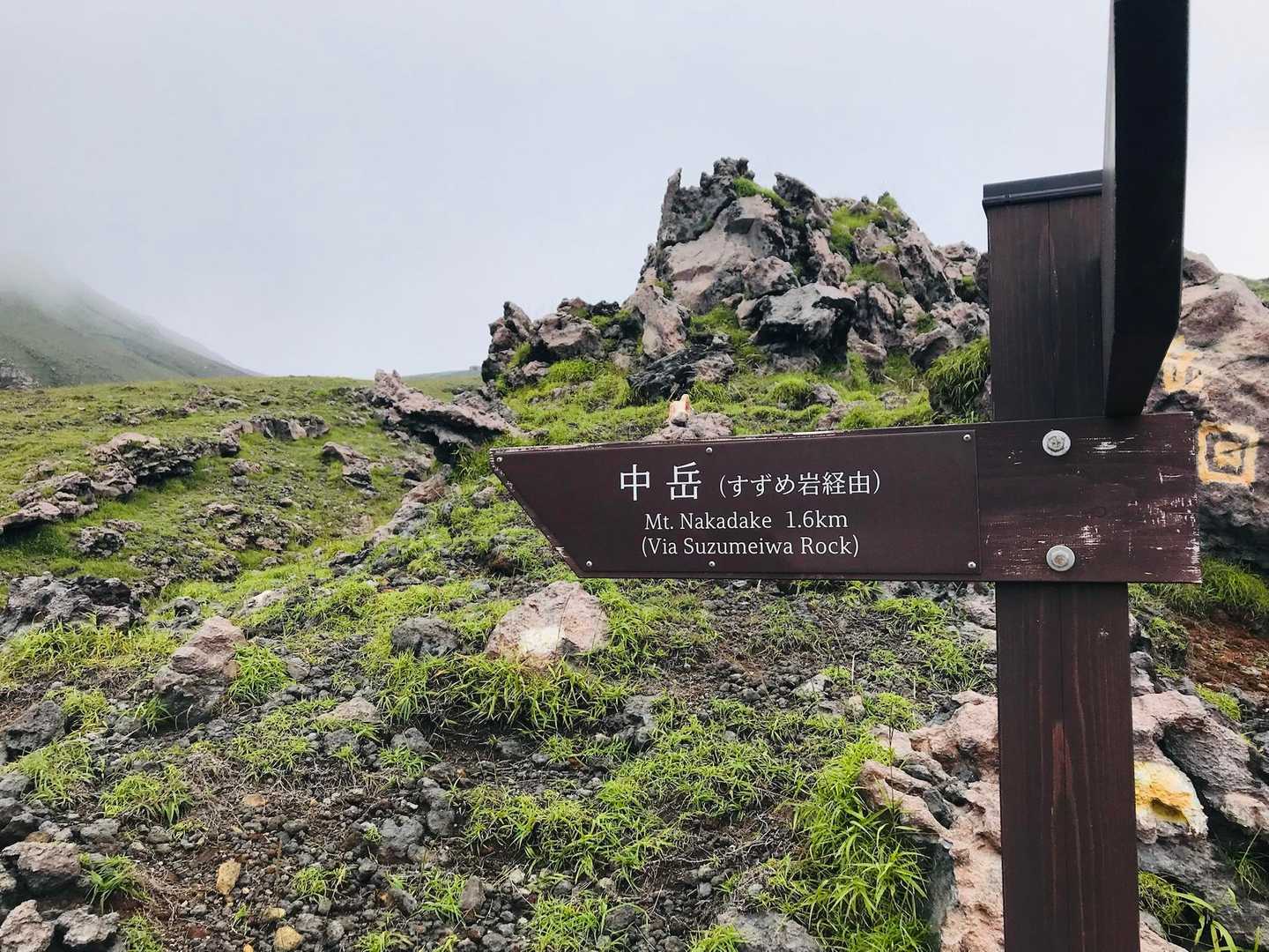 すずめ岩🪨迂回ルートへの分岐もクッキリ✨
