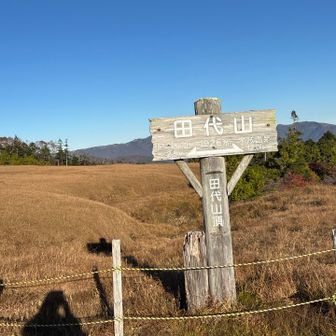 とりあえず田代山頂