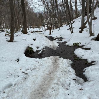とけてる〰️ながれてる〰️
おしまい