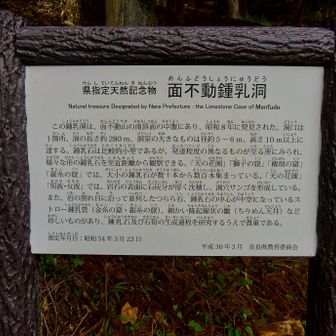 と思いましたが、
こちらも激混みで断念。。。