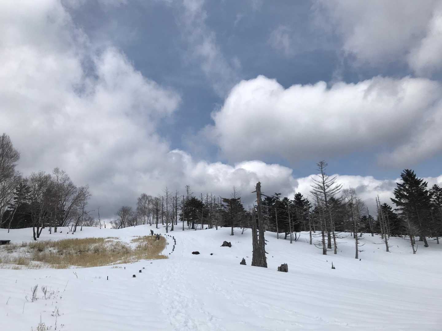 もう少しで山頂
先行者の踏み跡が山頂へ案内してくれる
