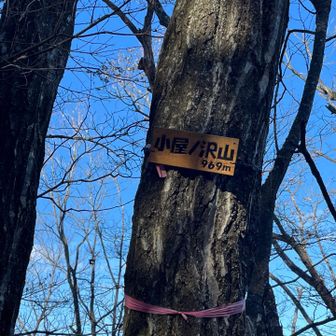 今日一番のピーク