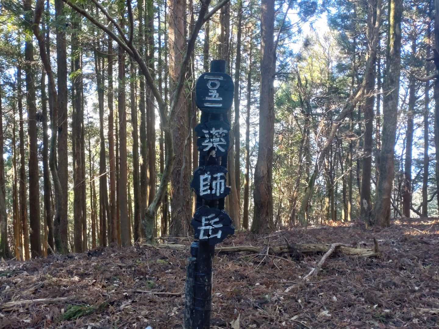 薬師岳-文珠岳-道白山 周回コースの写真