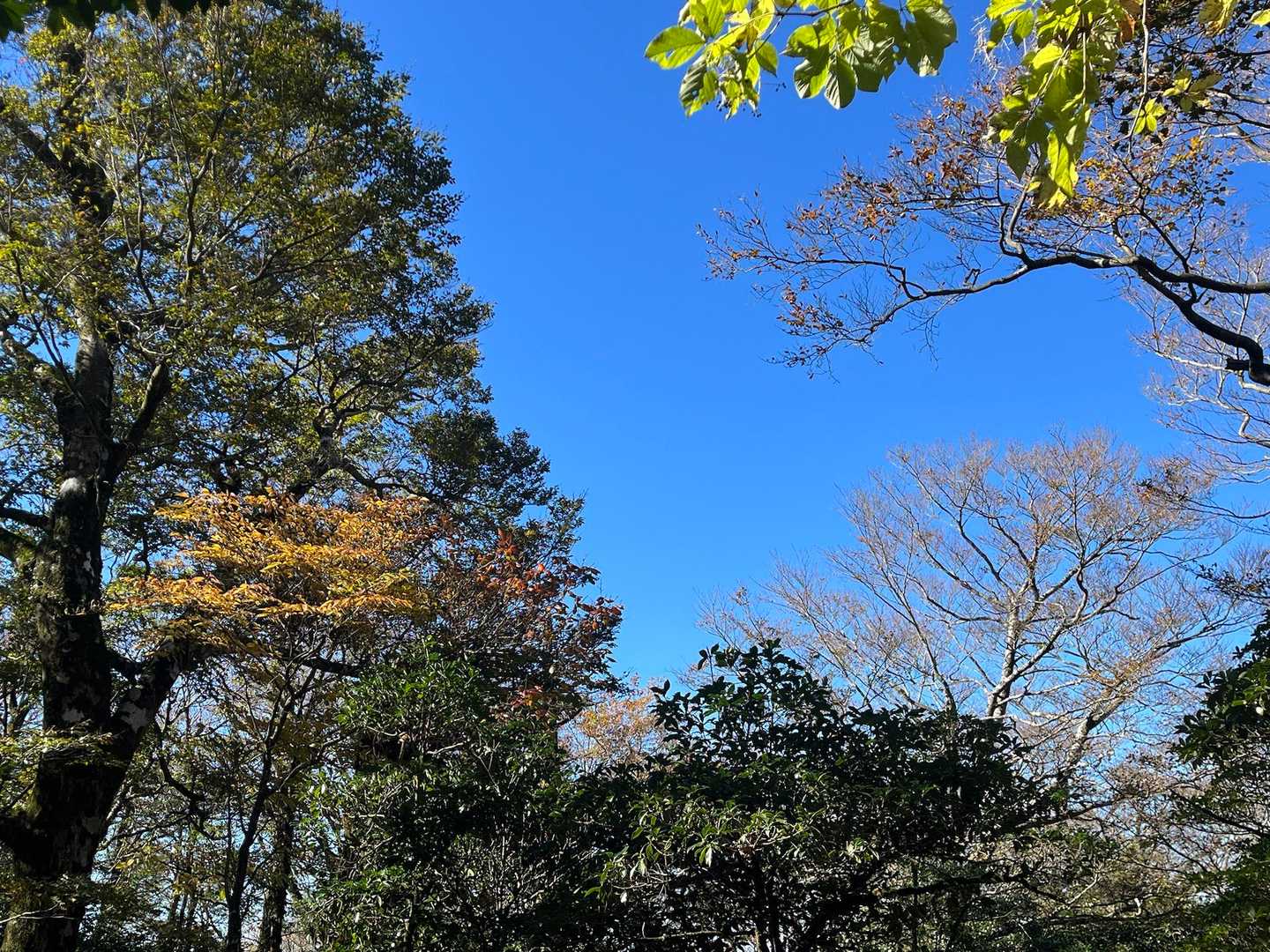 気持ち良いね～🎵