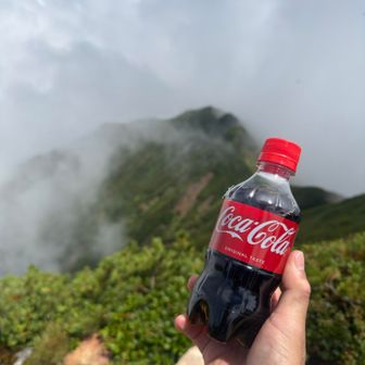 山頂コーラは最高