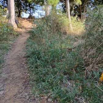 工事🚧モノレールがなくなっている😳