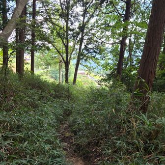十八神社が見えてきて、無事下山