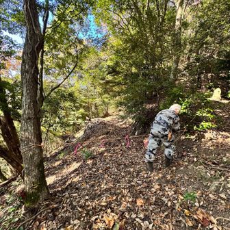 下山中にいきなり『こんにちは〜！』と人の声が😱
まさか人が居るとは思わずビックリし過ぎて心臓がバクバク💦

近づいてみると…『イノシシかと思ってビックリしたが〜』と。

あ、合ってます。私イノシシ年なんで🐗

市から委託されて山を管理されてる方でピンテを貼ってらっしゃいました。
こういう方々のお陰で安全に山歩きが出来ているんだなぁとつくづく有難い気持ちになりました。そして感謝の言葉を何度もお伝えしました🙇🏻‍♀️