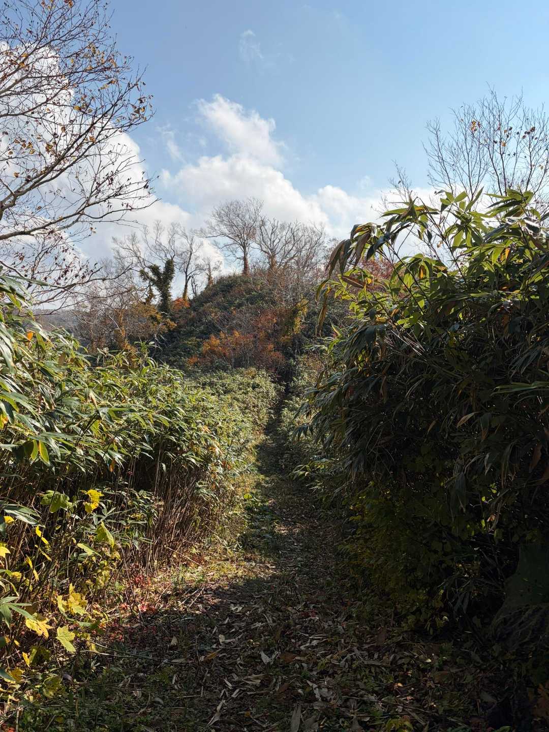 音江山の標識📷撮るの忘れてた